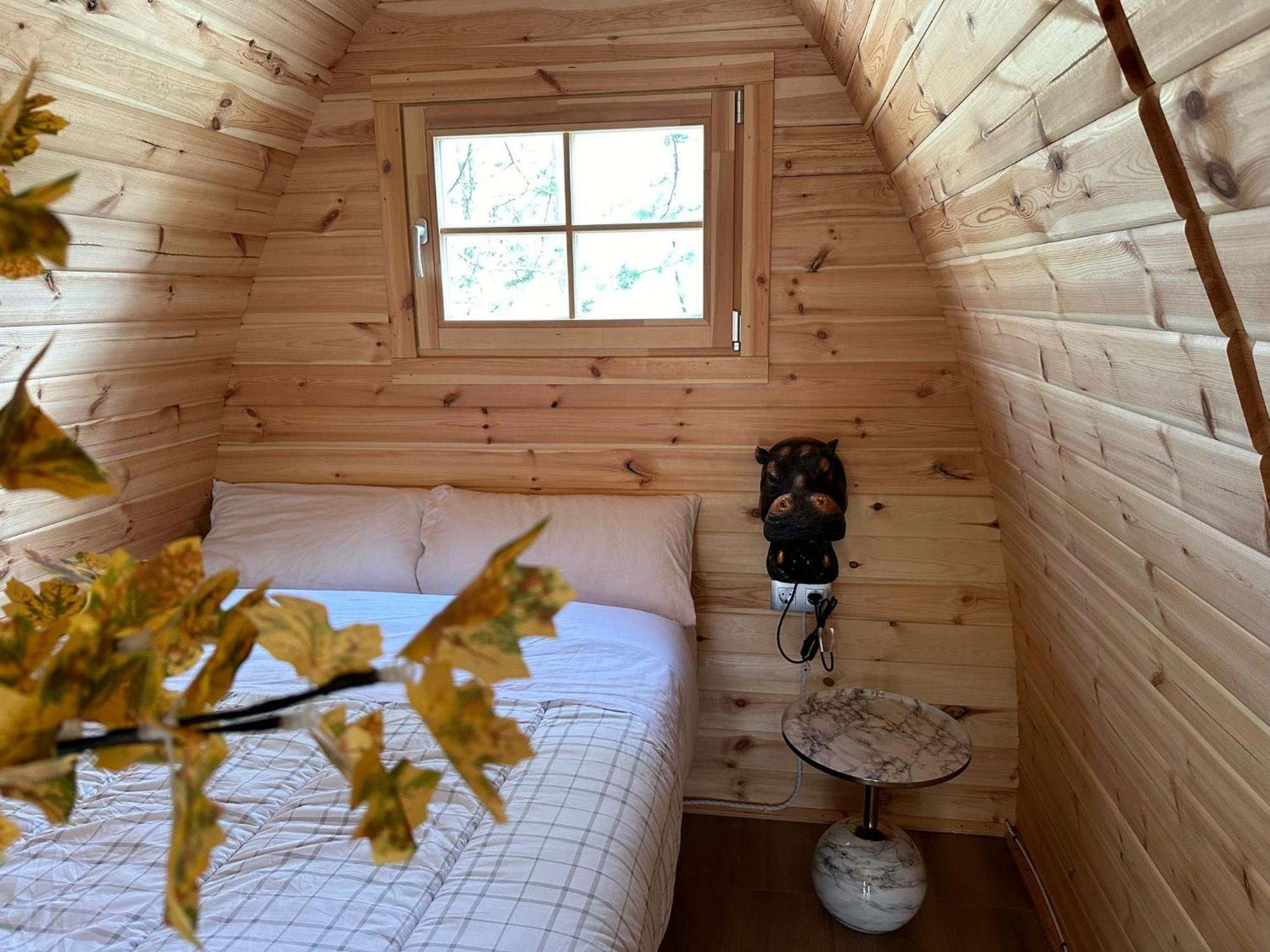 Camping Ripolles Εξωτερικό φωτογραφία