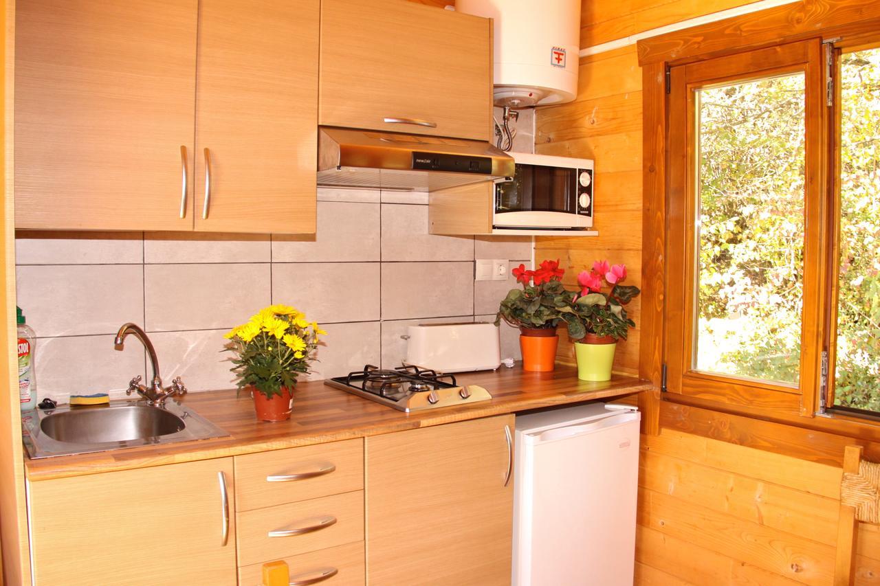 Camping Ripolles Εξωτερικό φωτογραφία