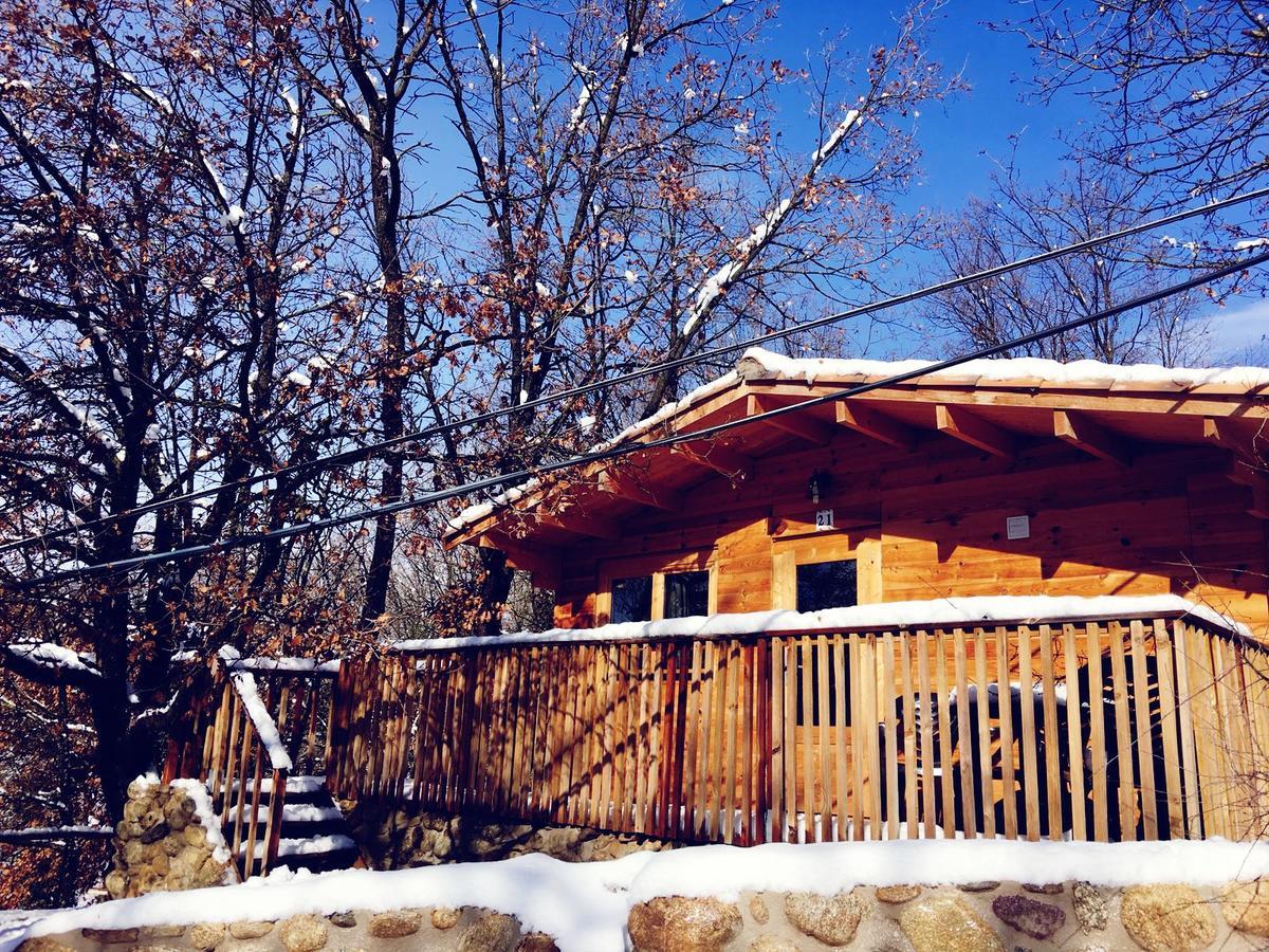 Camping Ripolles Εξωτερικό φωτογραφία